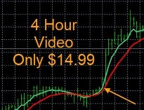 Forex Video Course
