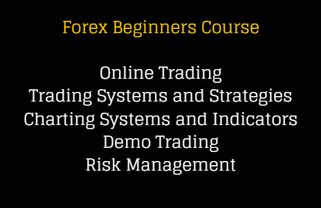 Forex trading course for beginners