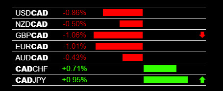 hot forex affiliate program