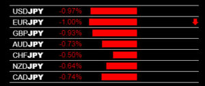 Forexmicrolot