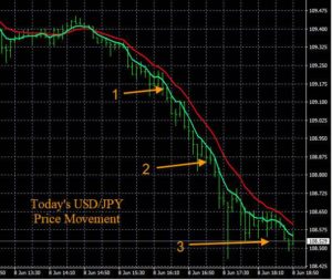 Forexmicrolot