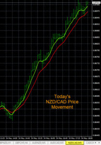 NZD/CAD Chart