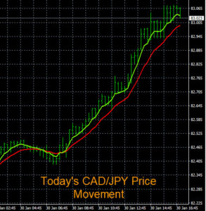 Zforex signals
