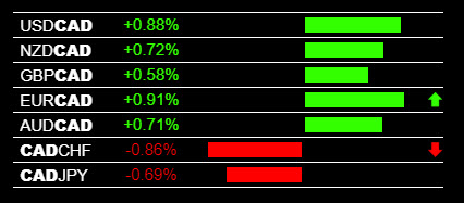 Choppy Forex Market, Strong Signal