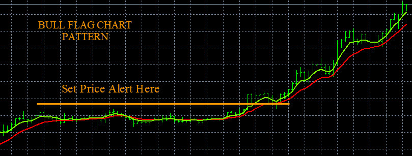 Forex Charts Bull Flag