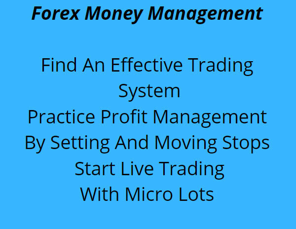 Forex Money Management