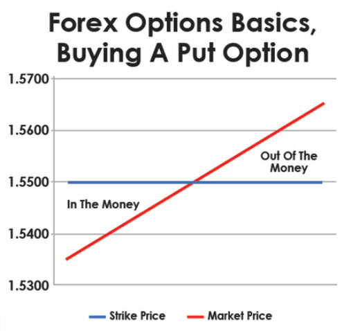 Forex Options Basics