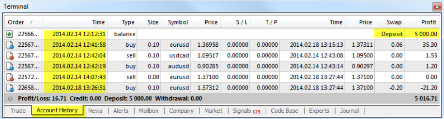 Forex Trading Journal